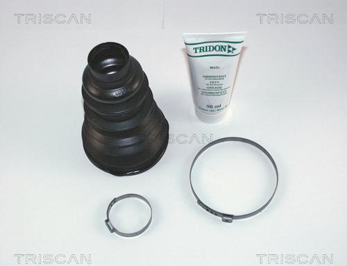 Triscan 8540 25804 - Пильник, приводний вал autocars.com.ua