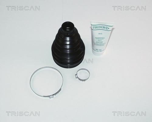 Triscan 8540 25811 - Пильник, приводний вал autocars.com.ua