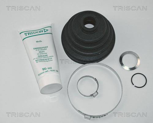Triscan 8540 29802 - Пильник, приводний вал autocars.com.ua