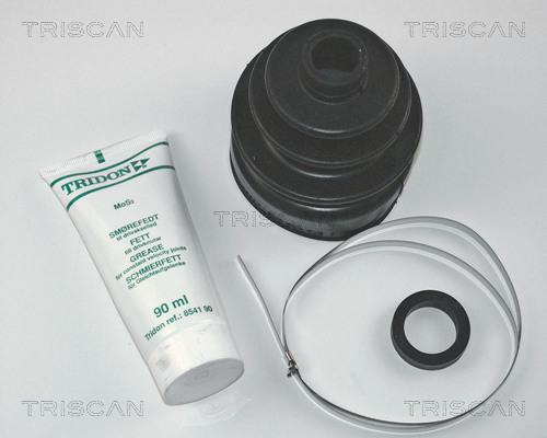 Triscan 8540 38803 - Пильник, приводний вал autocars.com.ua