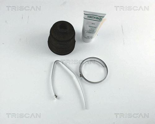 Triscan 8540 42902 - Пыльник, приводной вал autodnr.net