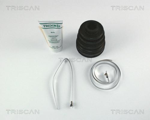 Triscan 8540 50906 - Пильник, приводний вал autocars.com.ua
