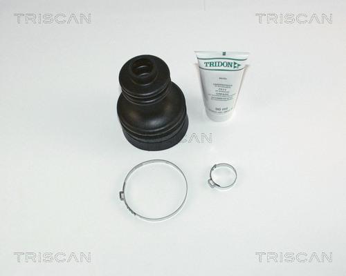 Triscan 8540 65905 - Пильник, приводний вал autocars.com.ua