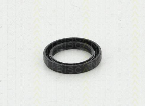 Triscan 8550 10025 - Уплотняющее кольцо, коленчатый вал autodnr.net