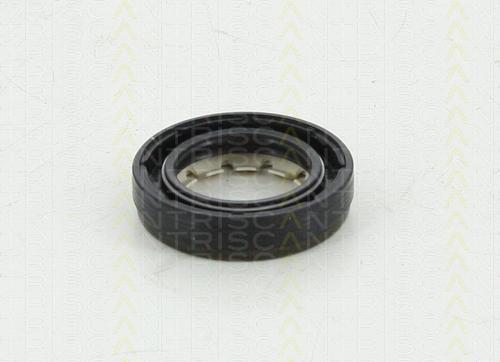 Triscan 8550 10043 - Уплотняющее кольцо, дифференциал autodnr.net