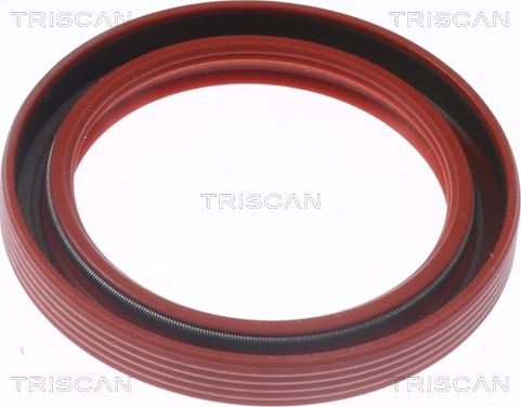Triscan 8550 10073 - Уплотняющее кольцо, коленчатый вал autodnr.net