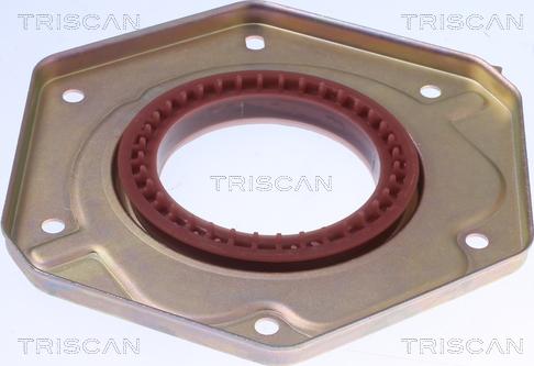 Triscan 8550 10096 - Уплотняющее кольцо, коленчатый вал autodnr.net