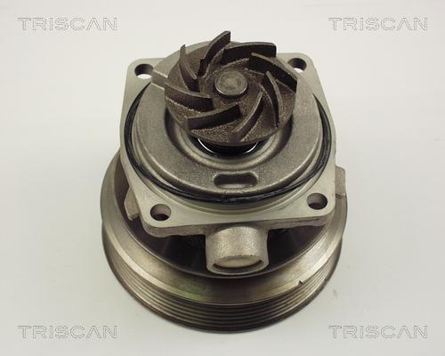 Triscan 8600 10006 - Водяний насос autocars.com.ua