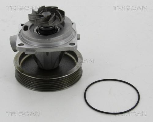 Triscan 8600 10080 - Водяной насос avtokuzovplus.com.ua