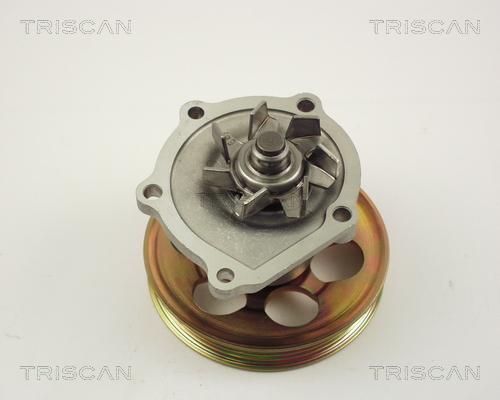 Triscan 8600 13010 - Водяной насос avtokuzovplus.com.ua