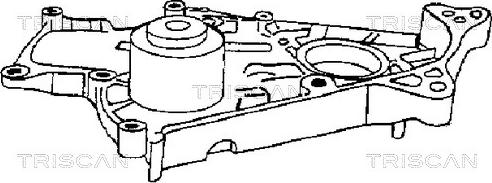 Triscan 8600 13900 - Водяной насос avtokuzovplus.com.ua