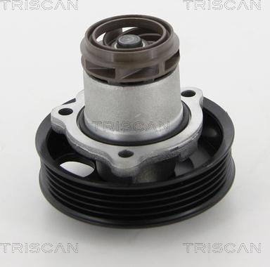 Triscan 8600 29059 - Водяний насос autocars.com.ua