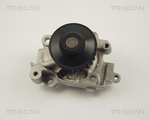 Triscan 8600 42010 - Водяний насос autocars.com.ua