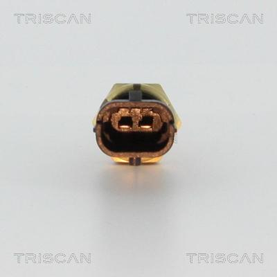 Triscan 8626 10039 - Датчик, температура охлаждающей жидкости avtokuzovplus.com.ua