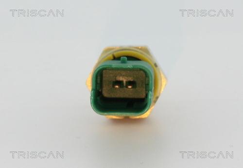 Triscan 8626 10041 - Датчик, температура охолоджуючої рідини autocars.com.ua
