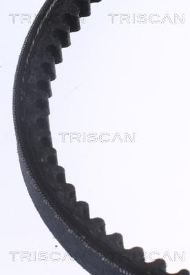 Triscan 8640 131250 - Клиновой ремень, поперечные рёбра autodnr.net