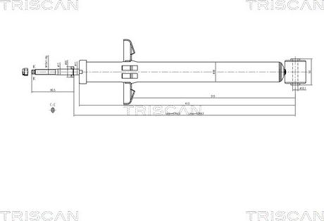 Triscan 8705 29209 - Амортизатор avtokuzovplus.com.ua