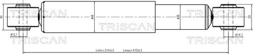 Triscan 8705 29213 - Амортизатор autocars.com.ua