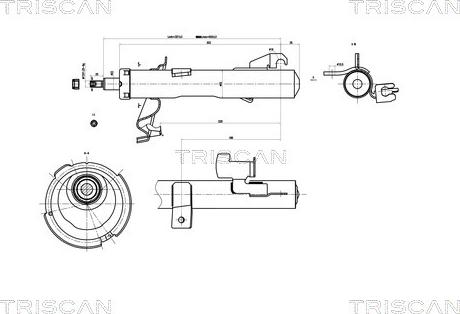 Triscan 8705 50101 - Амортизатор autocars.com.ua