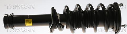Triscan 8705 81107 - Амортизатор autocars.com.ua