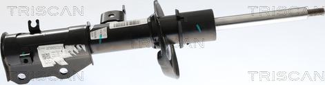 Triscan 8705 82109 - Амортизатор autocars.com.ua