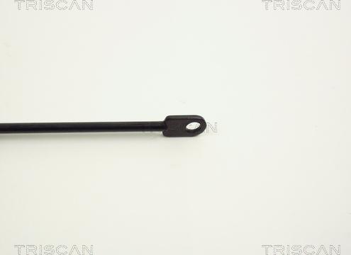 Triscan 8710 1101 - Газовая пружина, капот autodnr.net