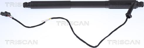 Triscan 8710 11303 - Газова пружина, кришка багажник autocars.com.ua