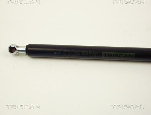 Triscan 8710 12205 - Газова пружина, кришка багажник autocars.com.ua