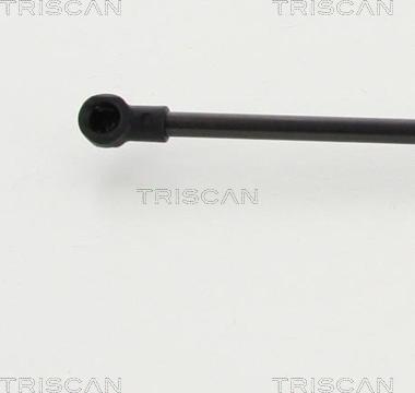 Triscan 8710 13284 - Газова пружина, кришка багажник autocars.com.ua