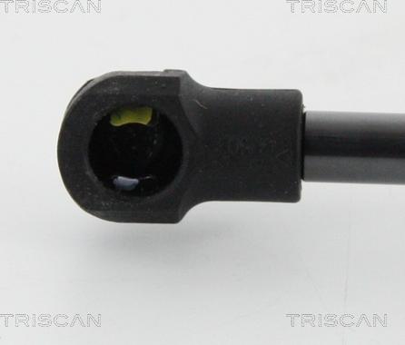 Triscan 8710 13288 - Газовая пружина, упор autodnr.net