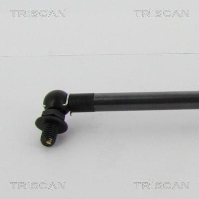 Triscan 8710 13290 - Газова пружина, кришка багажник autocars.com.ua