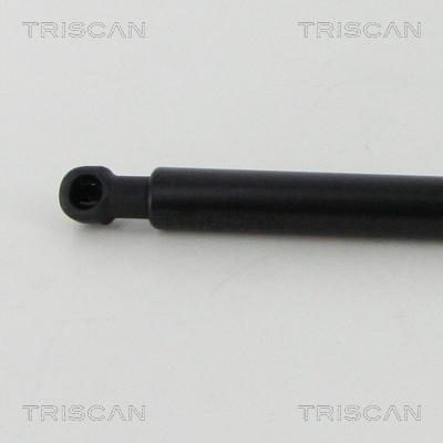 Triscan 8710 13295 - Газова пружина, кришка багажник autocars.com.ua