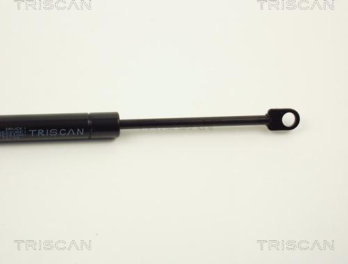 Triscan 8710 1613 - Газова пружина, кришка багажник autocars.com.ua