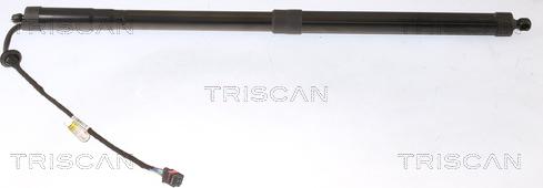 Triscan 8710 16302 - Газова пружина, кришка багажник autocars.com.ua
