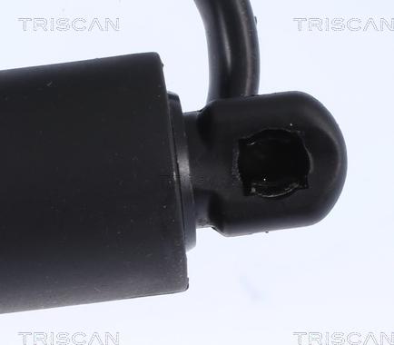 Triscan 8710 17302 - Газова пружина, кришка багажник autocars.com.ua