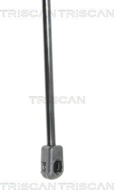 Triscan 8710 18223 - Амортизатор багажника autocars.com.ua