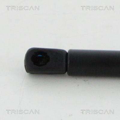 Triscan 8710 20105 - Газовая пружина, упор avtokuzovplus.com.ua