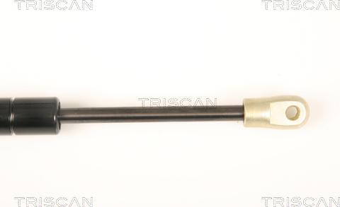 Triscan 8710 20202 - Газова пружина, кришка багажник autocars.com.ua