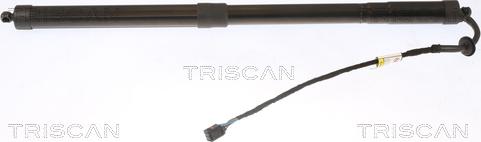 Triscan 8710 20303 - Газова пружина, кришка багажник autocars.com.ua