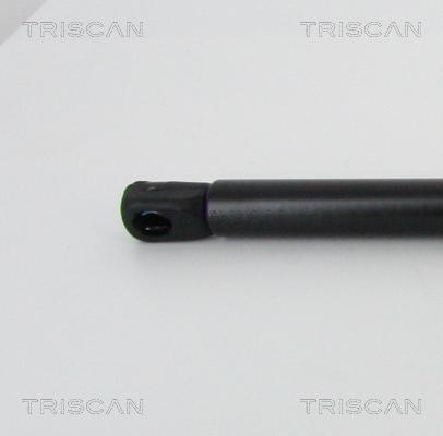 Triscan 8710 23125 - Газовая пружина, капот autodnr.net