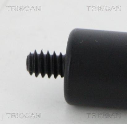 Triscan 8710 23132 - Газовая пружина, капот autodnr.net