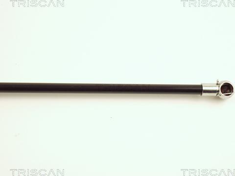 Triscan 8710 23202 - Газовая пружина, упор autodnr.net