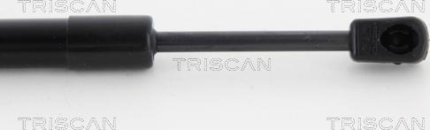 Triscan 8710 23223 - Газовая пружина, упор avtokuzovplus.com.ua