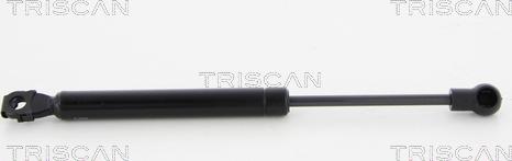 Triscan 8710 23228 - Газовая пружина, упор autodnr.net