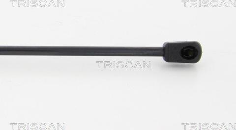 Triscan 8710 23230 - Газова пружина, кришка багажник autocars.com.ua