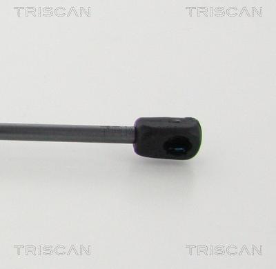 Triscan 8710 23245 - Газовая пружина, упор avtokuzovplus.com.ua