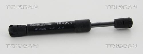 Triscan 8710 23248 - Газовая пружина, упор autodnr.net