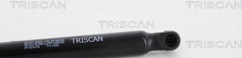 Triscan 8710 24239 - Газовая пружина, упор avtokuzovplus.com.ua