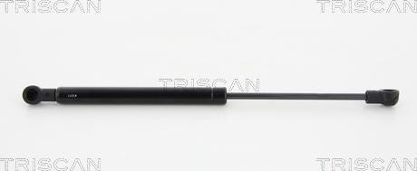 Triscan 8710 24246 - Газовая пружина, упор autodnr.net