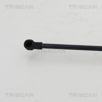 Triscan 8710 24256 - Газова пружина, кришка багажник autocars.com.ua